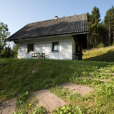 Voje Bohinj