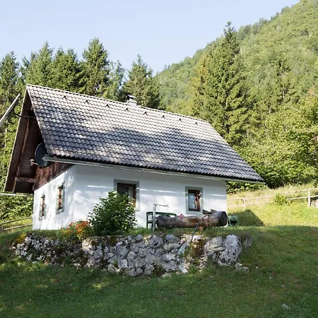 Voje Bohinj